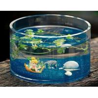 China hand blow glass terrarium glass fish tank Hydroponics container factory
