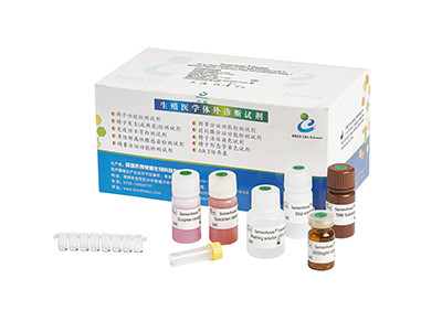 Quality 96T/ Elastase Assay Kit BRED-006 for sale