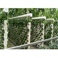 china 3 - 5m Gutter Height Plastic Panels Greenhouse Electric / Manual Rolling Up Vent Design