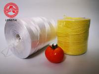 China UV Protection Colorful Agriculture PP Tomato Twine factory