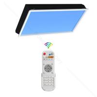 Quality Wireless 6500K Skylight Panel LED Light 30 Degree Angle Durable for sale
