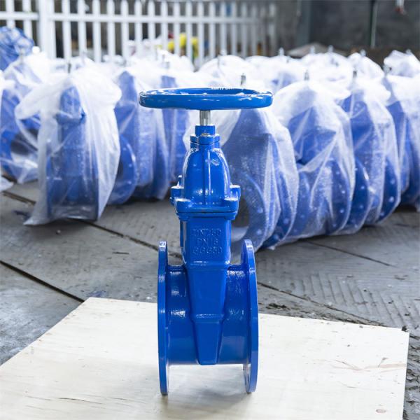 Quality Flange Ends PN16 PN10 Hand Wheel Gate Valve F4 Copper Wire Inner Dn250 Gate Valve for sale