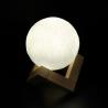 China Tap Control Multicolor LED Flashing Snowman Rechargeable Moon Lamp 3D Printing factory
