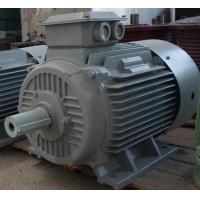 China IP54 Permanent Magnet Alternator Magnet Generator Energy Efficient factory