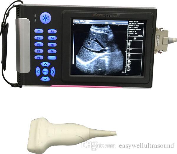 Low cost veterinary ultrasound scanner EW-B10V with Linear probe L7.5/40 for animals