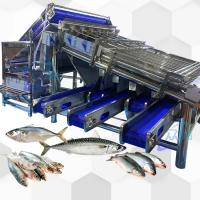china High Capacity Fish Grading Machine Fish Roller Grader 4.9KW 2 -8T/H