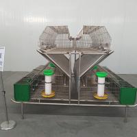 China Wire Floor Custom Rabbit Cage , Large Commercial Rabbit Breeding Cages factory