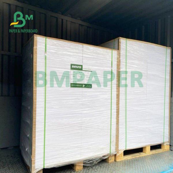 Quality 210gsm+15gsm Cup PE Film Coated Paper Good Brightness 615mm X 850mm for sale