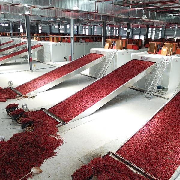 Quality ODM SGS Fruit Vegetable Processing Line Multilayer Drying And Cleaning for sale
