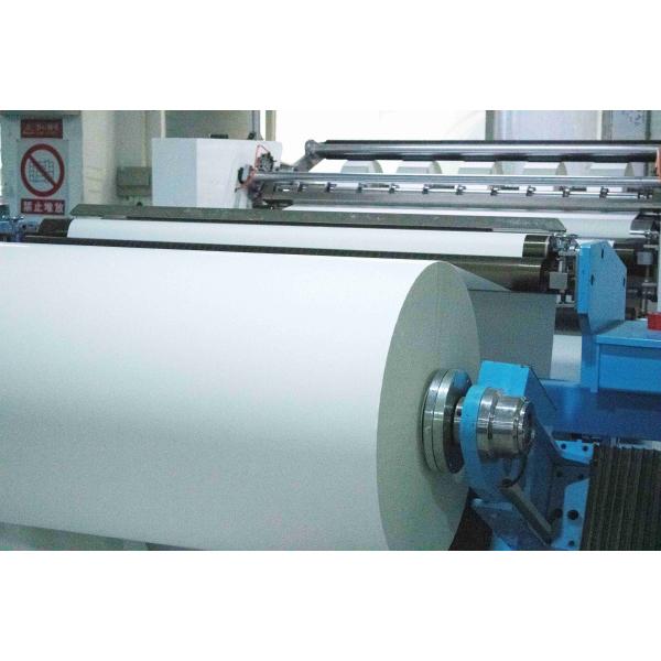 Quality Hot Melt Glue Type Coated Paper Roll Label 250u Surface Thickness for sale