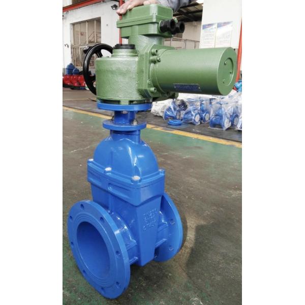 Quality Flange Electric Soft Seal Gate Valve Ductile Iron DN65 DN80 Port Size for sale