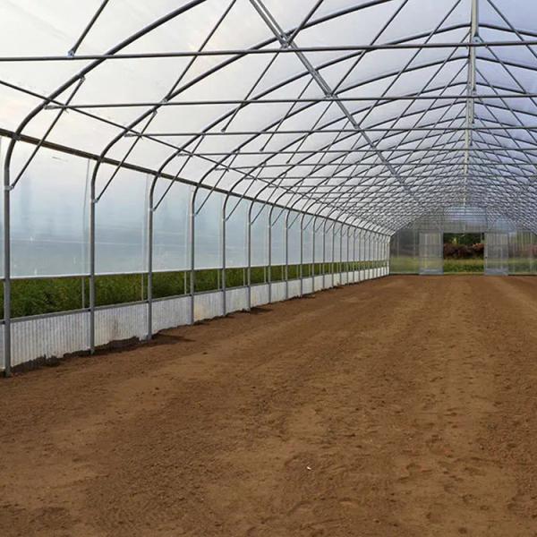 Quality Vegetables Plant Polyethylene Film Greenhouse With Cooling System Easy Install for sale