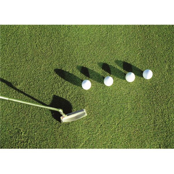 Quality Autumn Spring Sport Putting Green Artificial Golf Grass With Shock Pad Grassland for sale