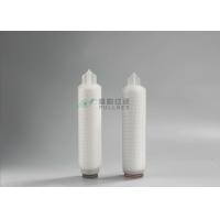 China 0.22 Micron Pleated PP/Polyester/Glass fiber Pleated Filter Cartridge for RO Security System factory