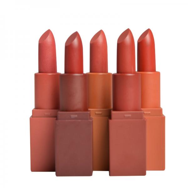 Quality High Pigment Lip Makeup Products Oem Matte Lipstick Set Mineral Formula 3 Years Guarantee for sale