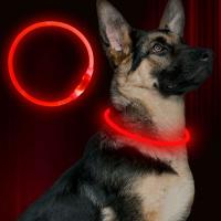 China USB Rechargeable Pet Industries LED Dog Collar Weatherproof Three Glow Modes factory