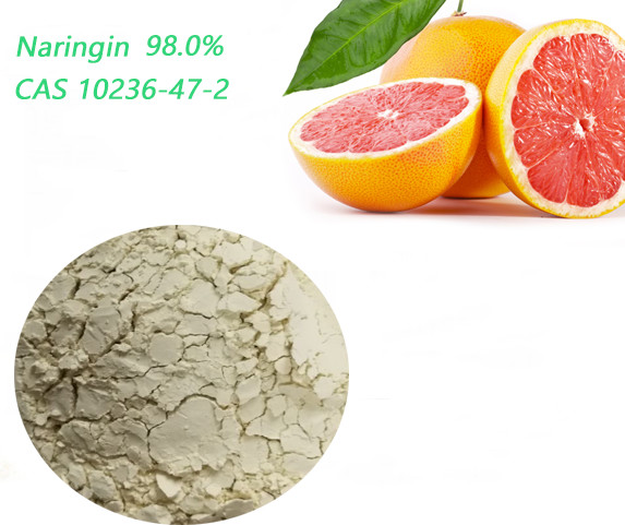 Quality 100% Natural Baby Grapefruit Extract Naringin Powder Lowering Blood Viscosity for sale