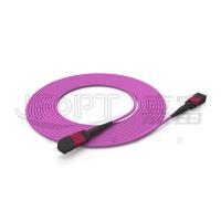 Quality MPO-MPO Single Tube Trunk Cable 12 Cores 2.0mm OM3 OM4 Violet Fiber Cable for sale
