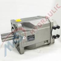 China High Voltage High Speed Motor A4FM125 Hydraulic Axial Piston Fixed Motors for Rexroth for sale