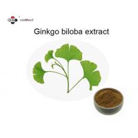 China 6% Lactones Ginkgo Biloba Leaf Powder factory
