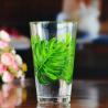 China Monstera Leaf 16 Oz Beer Glasses With Color Decal factory