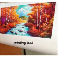 China Printable glossy oil/polyester/cotton waterproof canvas for solvent,eco-solvent,pigment,dye,compatibility printing machi factory