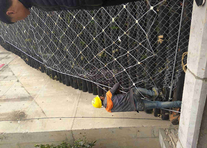 304 316 316l High Strength Stainless Steel Cable Mesh Net For Aviary Zoo Mesh