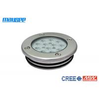 China 36W / 12W LED Swimming Pool Lights , Cree LED Underwater Pool Lights factory