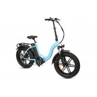 china OEM Lightweight Electric Folding Bike , 48V 500W 20 Inch Folding E Bike