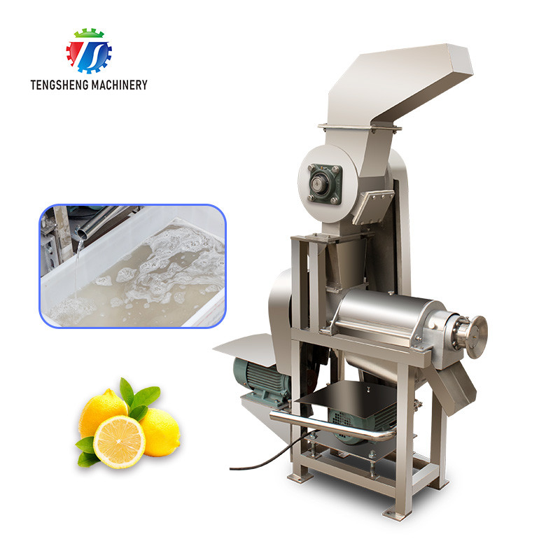 China Stainless Steel Orange Extractor Machine Commercial Electric Fruit Juicer for sale