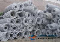 China Stainless Steel Hexagonal Wire Mesh/ Hexagonal Wire Netting, With High Strength factory