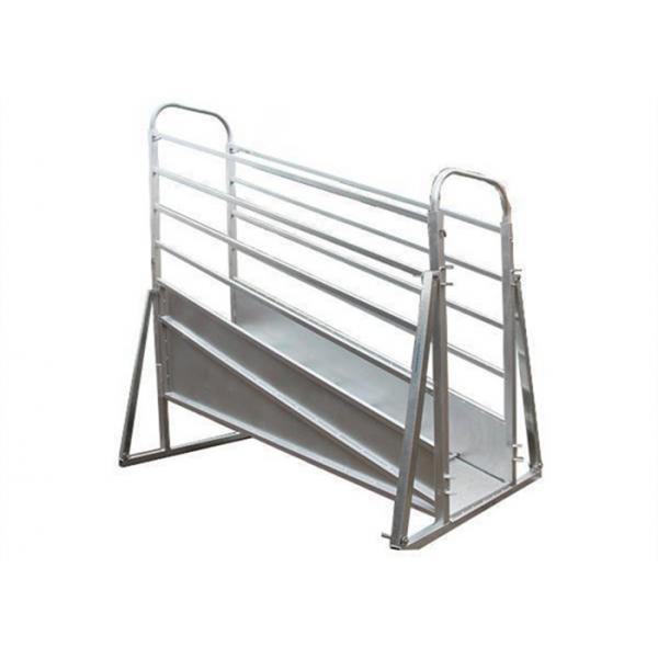 Quality Adjustable Mobile Cattle Ramp Overhead Bracing 3.6 / 4.8m Fixed Height for sale