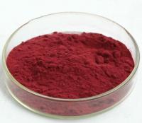 China bilberry /cranberry/ blueberry extract anthocyanins 25%, Cas No.:84082-34-8 factory