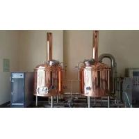 China 500L 2 Vessel Craft Beer Brewing Equipment Turnkey Microbrewery Systems factory