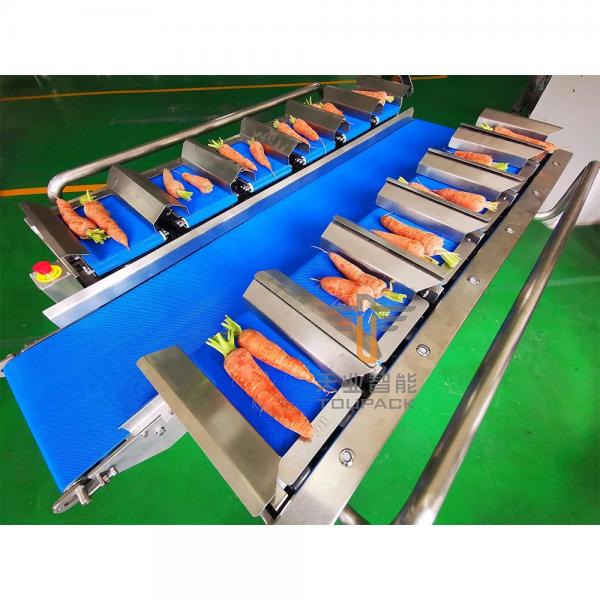 Quality 30WPM Stainless Steel 304 Conveyor Belt Weighing System 12 Belt for sale