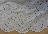 China Chemical Vintage Eyelet 100% Cotton Lace Fabric For Lady Shirt And Suit Anti Static factory