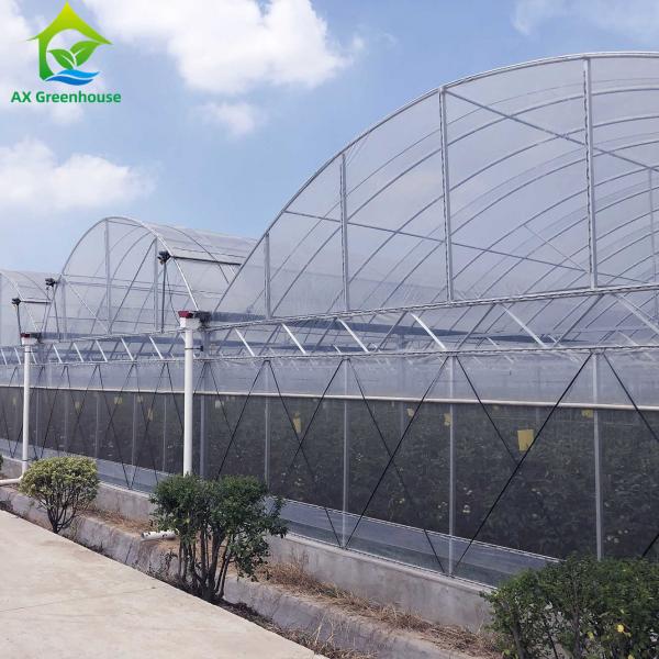 Quality 70%-75% Refractive Polythene Greenhouse Cover Thermal Insulation Film for sale