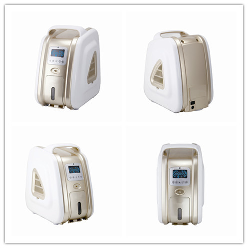 China 1~5L Concentration Portable Oxygen Concentrator Humidifier Sound Level ≤38dB One factory
