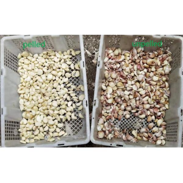 Quality Dehydrated Vegetable Sorting Machine CCD Core Intelligent Sensor for sale