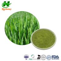 China Barley Grass Powder Barley Seedling Powder Barley Grass Juice Powder Hordeum Vulgare Linn factory
