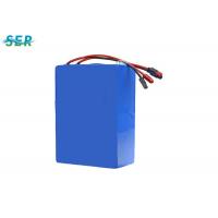 Quality Flexible Lithium Iron Phosphate Rechargeable Battery 12 Volt 120Ah For EV / for sale