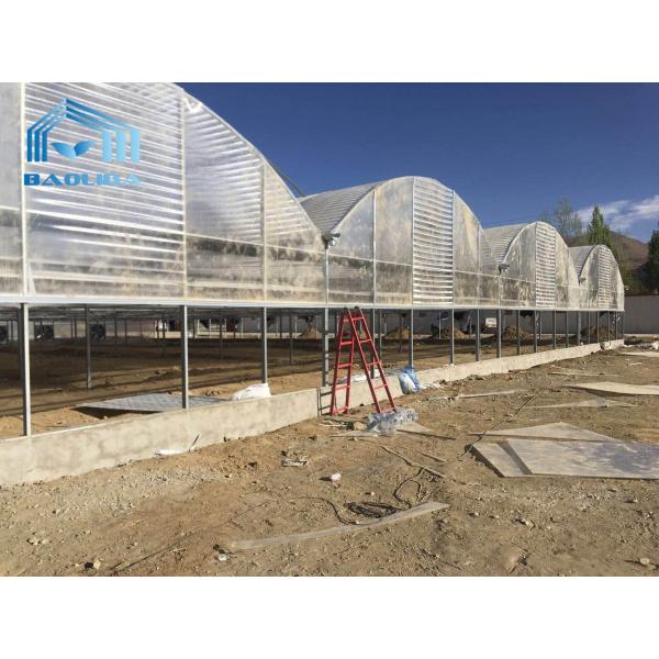 Quality PC Sheet Automatic Multi Span Polycarbonate Sheet Greenhouse For Plants Growing for sale