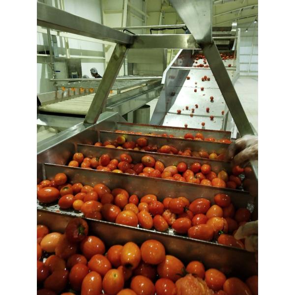 Quality Water Filtering Concentrating Tomato Processing Line for sale