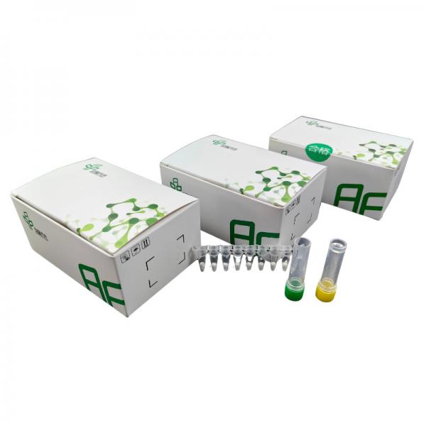 Quality RNA Basic Isothermal Amplification PCR Kit 5-20mins for sale