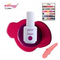 China Kamayi OEM/ODM Hot Selling Private Label Nail Gel For Your Own Logo Gel Nail Polish Kit for sale