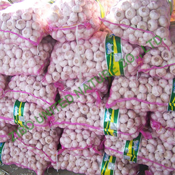 Quality new Garlic. Fresh Garlic, export overseas for sale