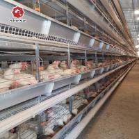 China Complete Automatic Layer H Type Poultry Cage 380V Silver Color for sale