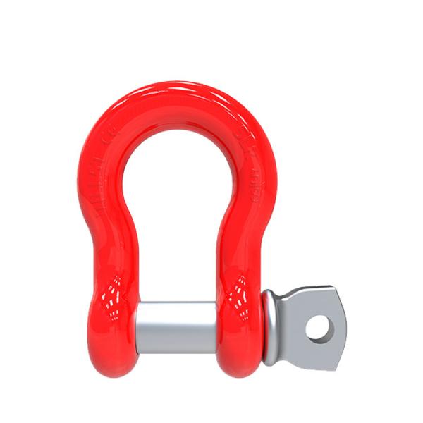 Quality SLR621- BOLT TYPE DEE BOW SHACKLE for sale