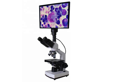 Quality LCD Microscopy Biology Discussion WF10X 400X Bright Field Microscope Biology for sale