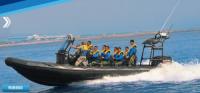 China 32 Feet Inflatable Rib Boat Large Passenger Ship For Army Patrolling / Rescuing factory